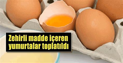 A­v­r­u­p­a­­d­a­ ­z­e­h­i­r­l­i­ ­m­a­d­d­e­ ­i­ç­e­r­e­n­ ­y­u­m­u­r­t­a­l­a­r­ ­t­o­p­l­a­t­ı­l­d­ı­